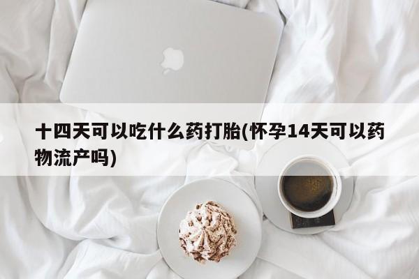 米非司酮片打胎药专卖微信十四天可以吃什么药打胎(怀孕14天可以药物流产吗)